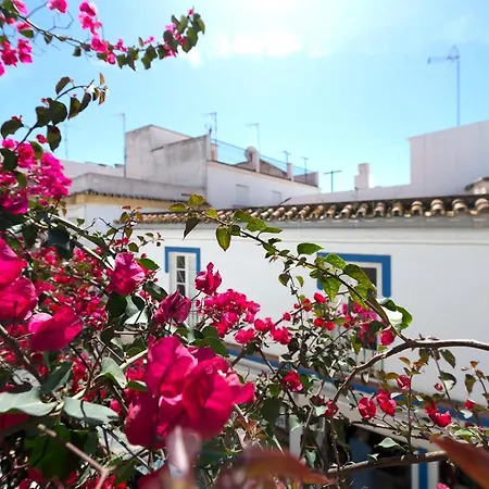 Orange Square Marbella